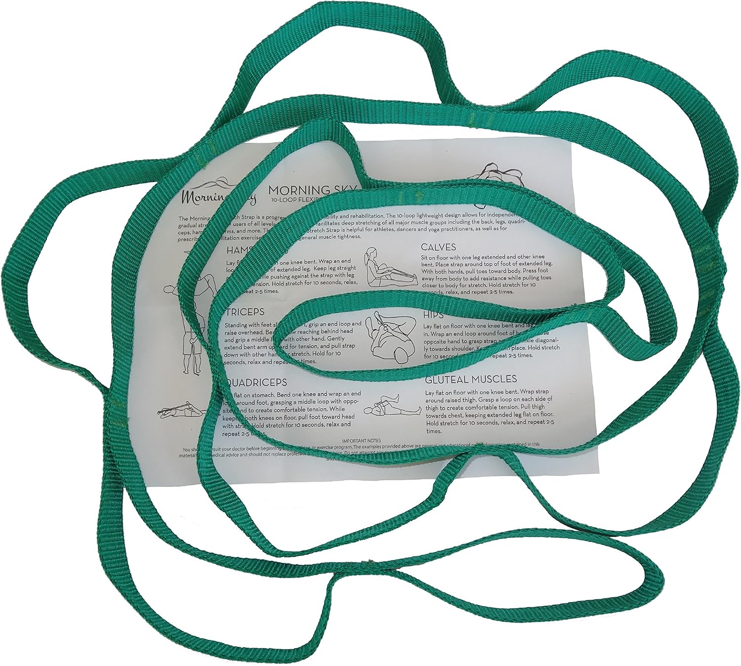 Physical Therapy Stretch Strap (10-Loop)
